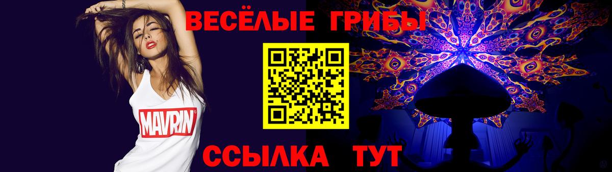Галлюциногенные грибы Psilocybe Омск